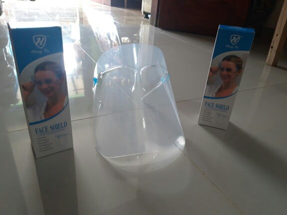 Tanaman Hias Sirih Gading Enjoy/koin