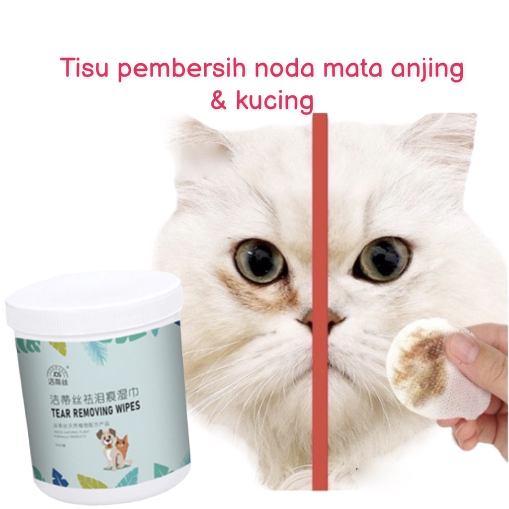 Tisu Basah Pembersih Mata Kucing Anjing All In 1 Tisu Kucing Tisu Anjing