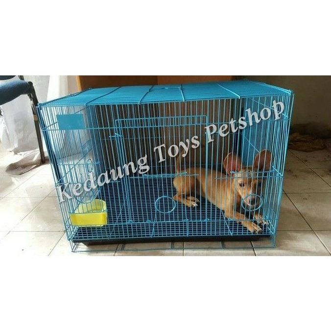 BISA BAYAR DITEMPAT Kandang Kucing/kucing hutan GRATIS ONGKIR Kode 9