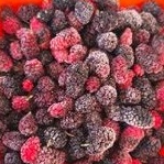 

Blackberry Murbei frozen 500gr