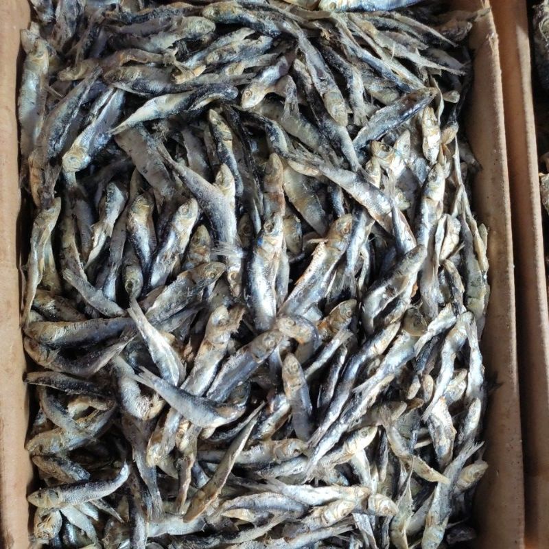 Ikan Asin Tamban/Tamban Asin 250g
