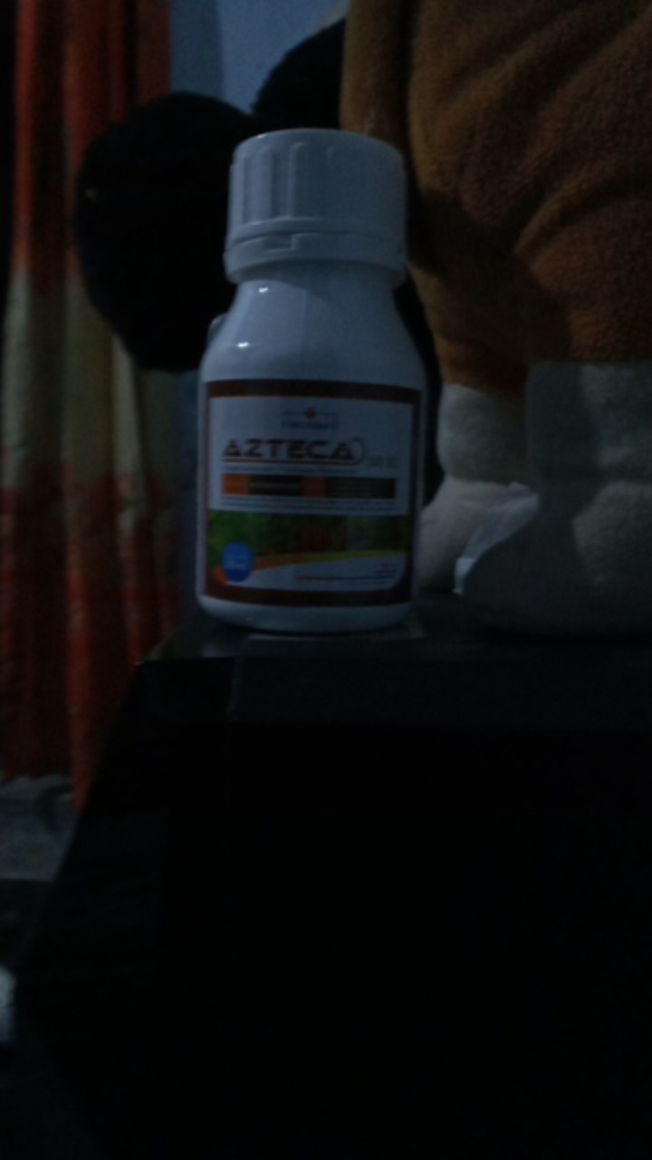 Azteca 600sc Kemasan 250ml Fungisida Anti Bun Upas