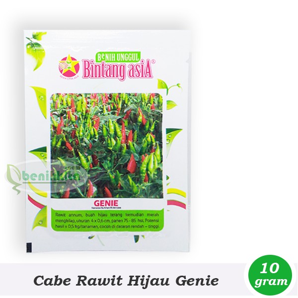 Benih/Bibit Cabe Rawit Hijau Genie (Bintang Asia)