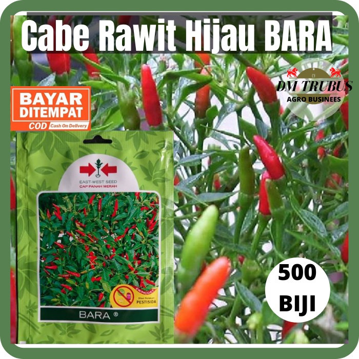 Benih Cabe Rawit Hijau BARA 500 Biji kemasan pabrik segel
