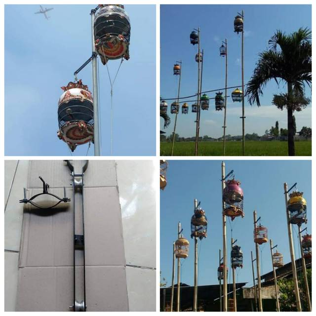 Kerekan burung perkutut dll