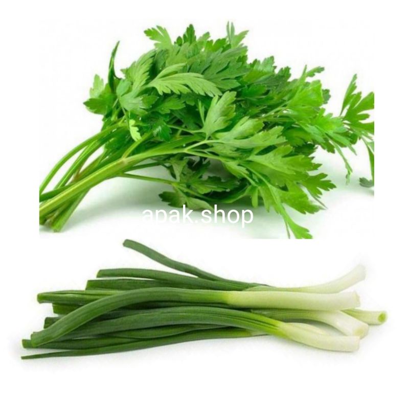 

Daun Bawang/Prey | Daun Sop/Seledri