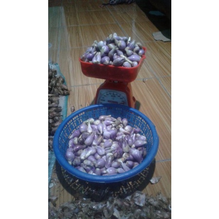 

bawanggoreng