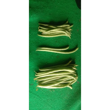 

baby buncis/baby bean/ baby buncis manis 250 gram