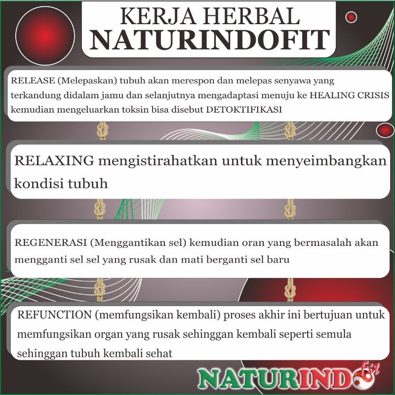 obat maag maah kronis ampuh asam lambung herbal maag kronis bau mulut akut asam lambung kronis asam lambung pusing bau mulut menahun tipes typus-7