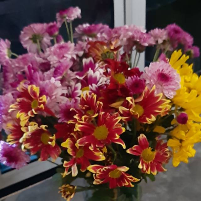 qibtiyyahexclusive_semarang