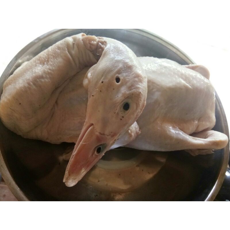 

bebek Hibrida/daging bebek size 800gram