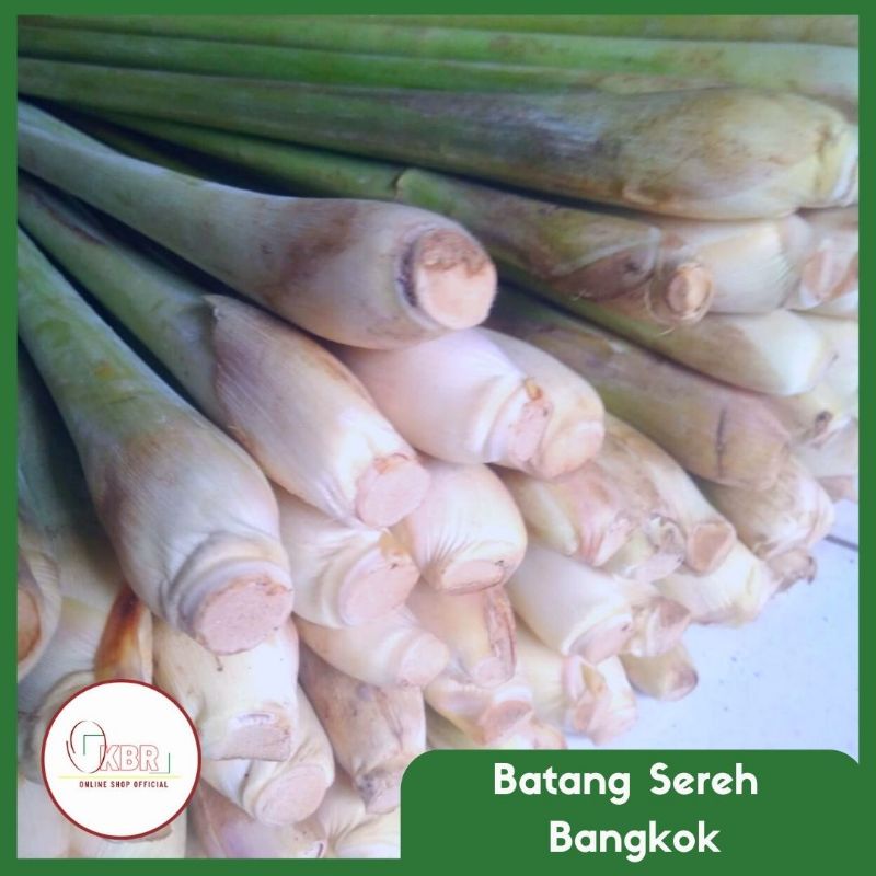 

Batang Sereh / Serai Segar / Sereh Bangkok 500gr