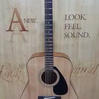 Gitar Yamaha F310
