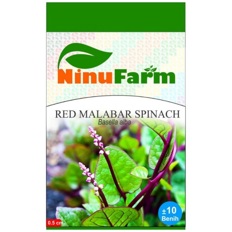 Benih Bayam Merah Malabar / Bibit Red Malabar Spinach