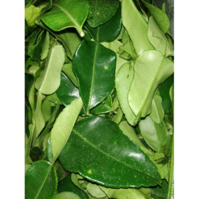 

Daun jeruk