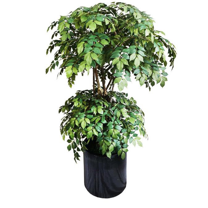 Wisteria Double 5Ft / Pohon Palsu / Tanaman Artificial /Pohon Wisteria Astrianstoreid