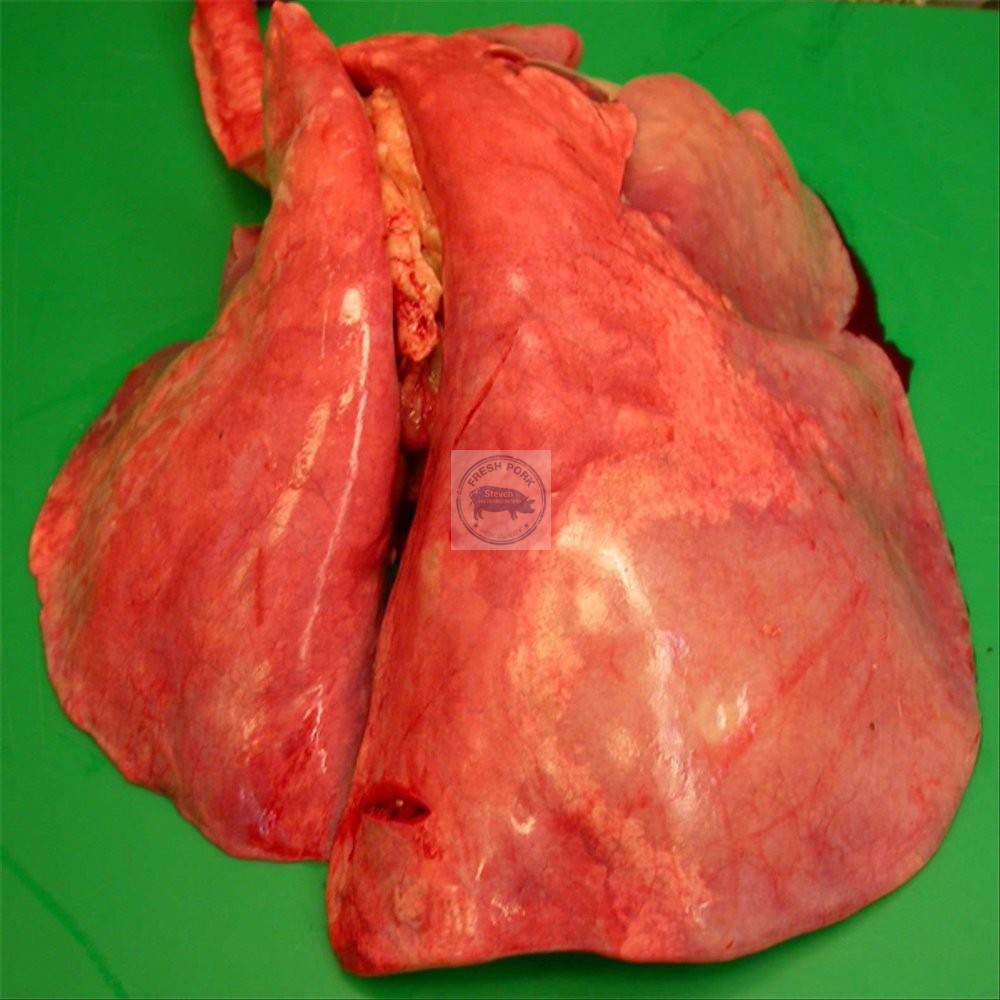 

Paru Sapi Segar ( Fresh Beef Lungs )