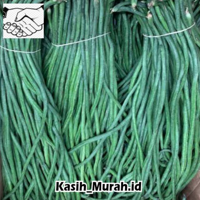 

KACANG PANJANG