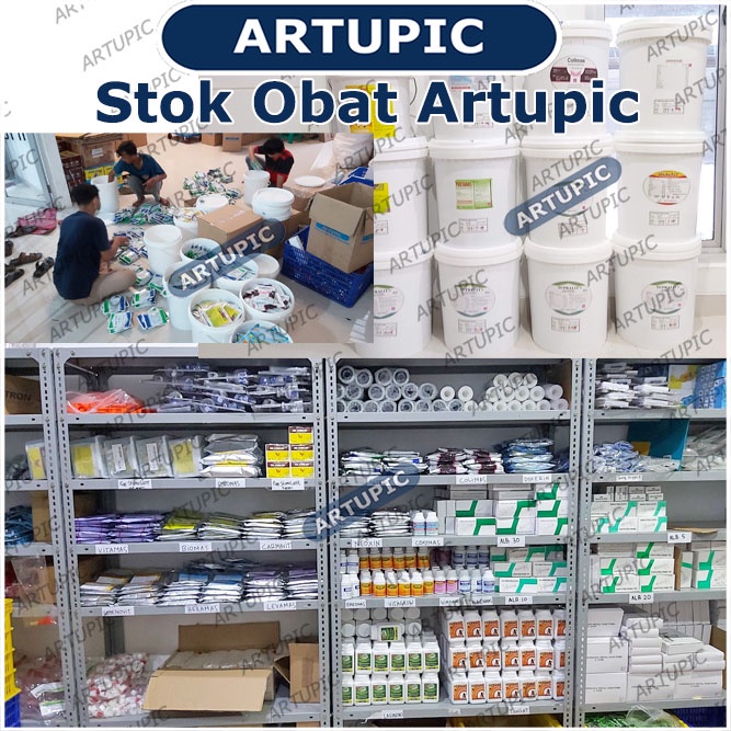 Doctril 100 gram Obat CRD Kompleks Ayam Unggas Medion Artupic