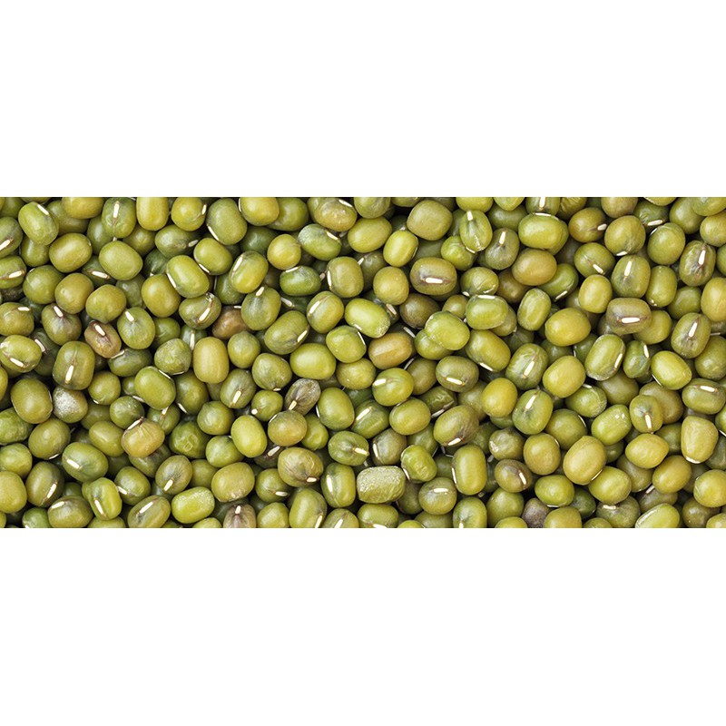 Kacang Hijau Import Australia Large Green Mung Beans 500g