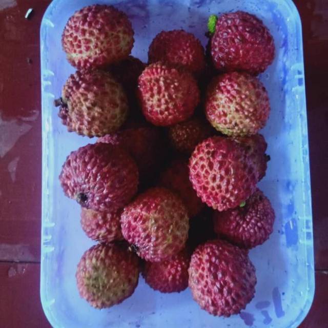 

Lychee King