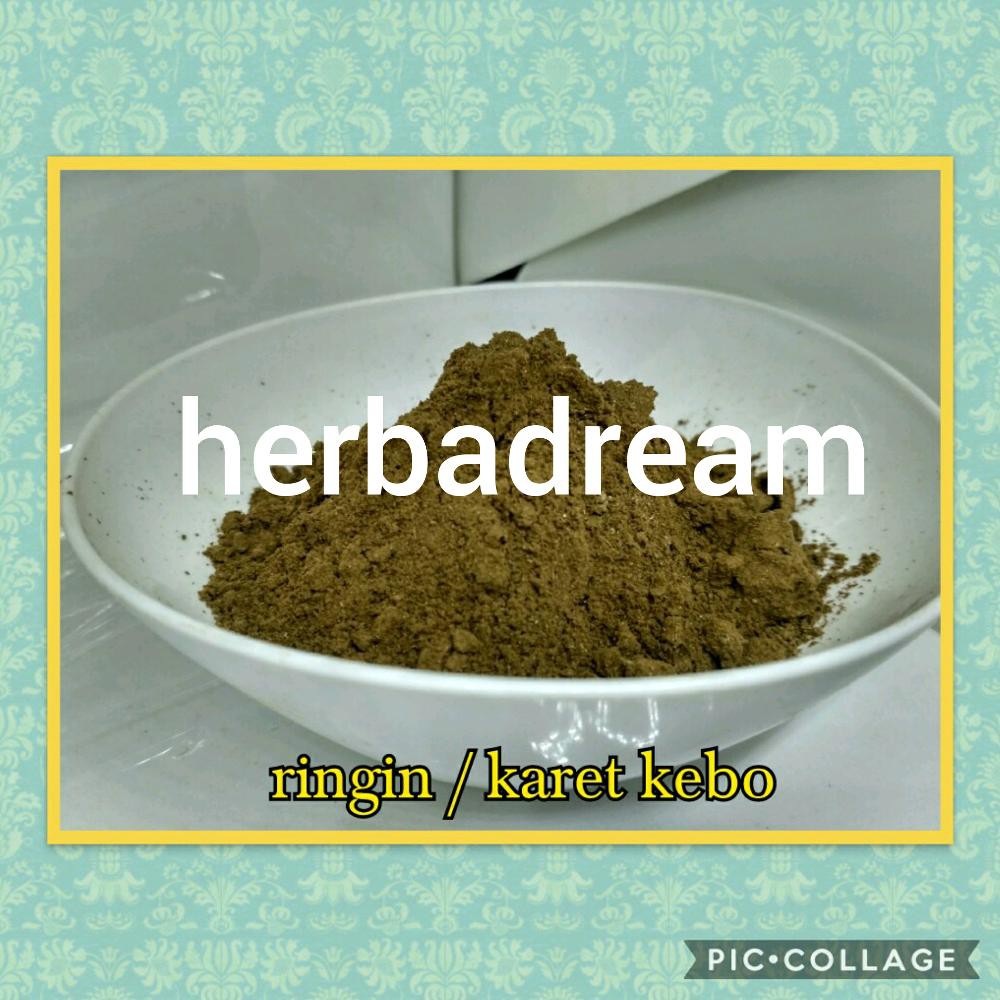 

DAUN BERINGIN KARET KEBO BUBUK 500 GRAM - Ficus Elastica - MURNI