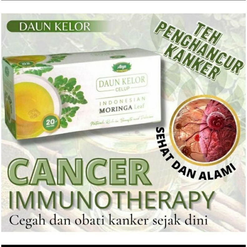 

teh daun kelor aleya teh moringa obat kanker ampuh