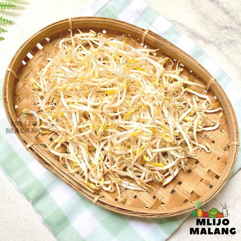 

Cambah / Kecambah 250 gr