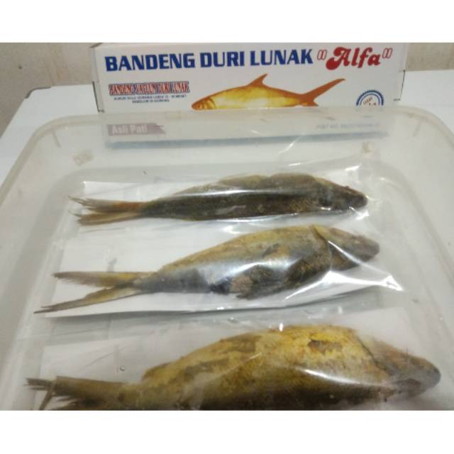 

BANDENG OTAK-OTAK/BANDENG