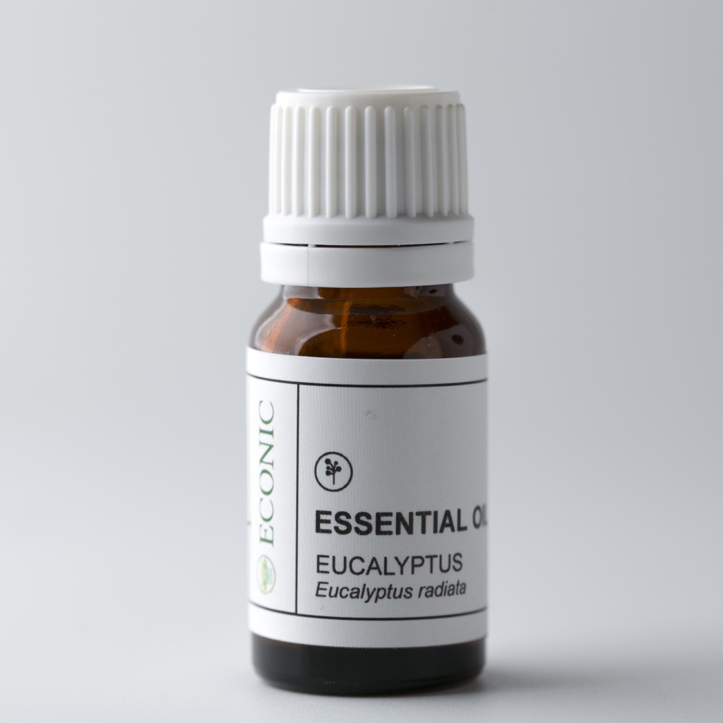 Eucalyptus Essential Oil | Aromaterapi Relaksasi &amp; Pernafasan Lega | Essential Oil Diffuser &amp; Oles