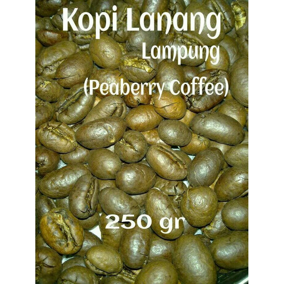

Kopi Lanang / Jantan / Peaberry Robusta Lampung 250 gr - kkp1198