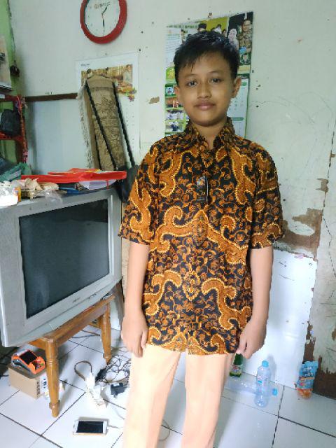 Bswart Batik Hrb026 Kemeja Batik Bagus Pekalongan M L Xl Batik Pria Murah Modern Grosir