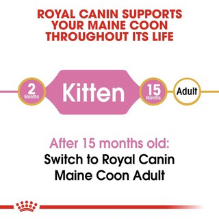 Image of thu nhỏ Royal Canin Kitten Maine Coon 400gr #3