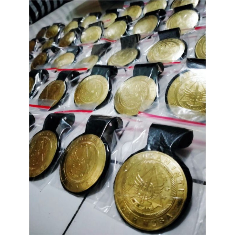 Pin Pagar Nusa ( Pasukan Inti )