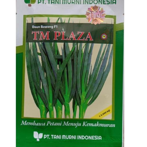 Langsung Beliii.. Benih Bawang Daun TM PLAZA isi 5.000 Biji