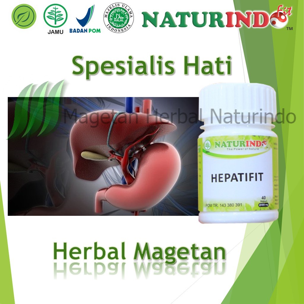 Obat Penyakit Hati Liver Obat Herbal Liver Obat hepatitis a b c Mudah Obat Herbal atasi Kolestasis C