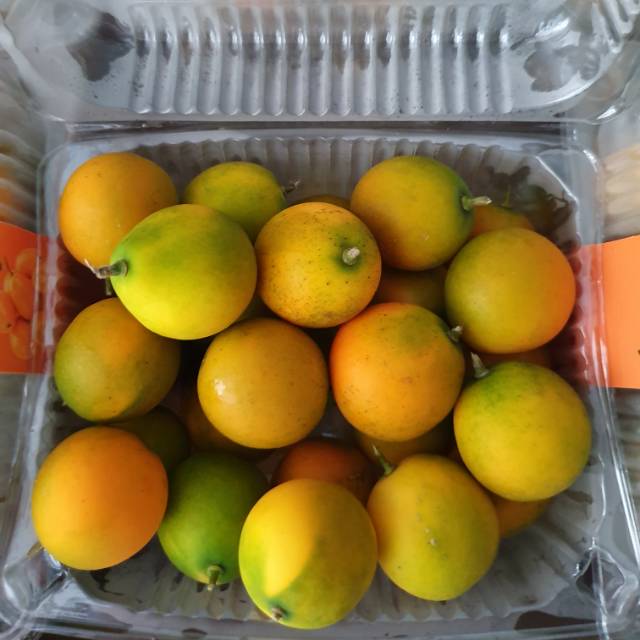  Jeruk  Kimkit Madu Kumquat Fresh Per Pack Shopee Indonesia