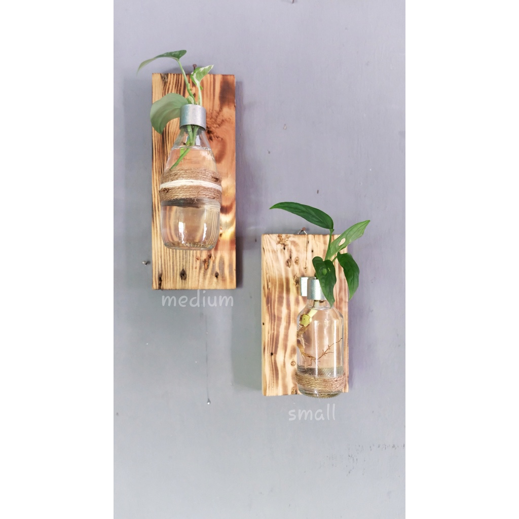 Pot vas bunga kaca gantung propagation| rak bunga dinding | hiasan pot tempel dinding