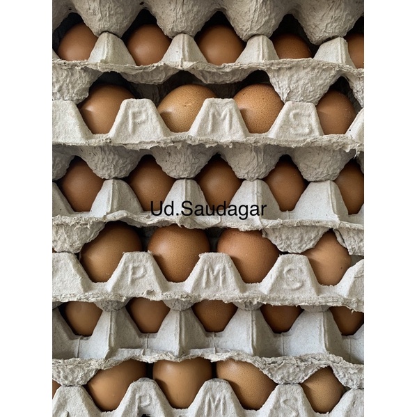 

Telur Ayam Merah Negeri 1 krat isi 30 butir