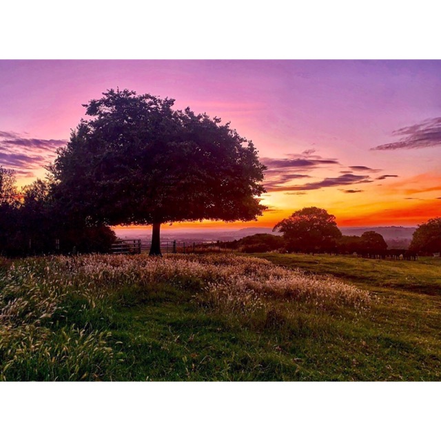 septirulisnipulungan