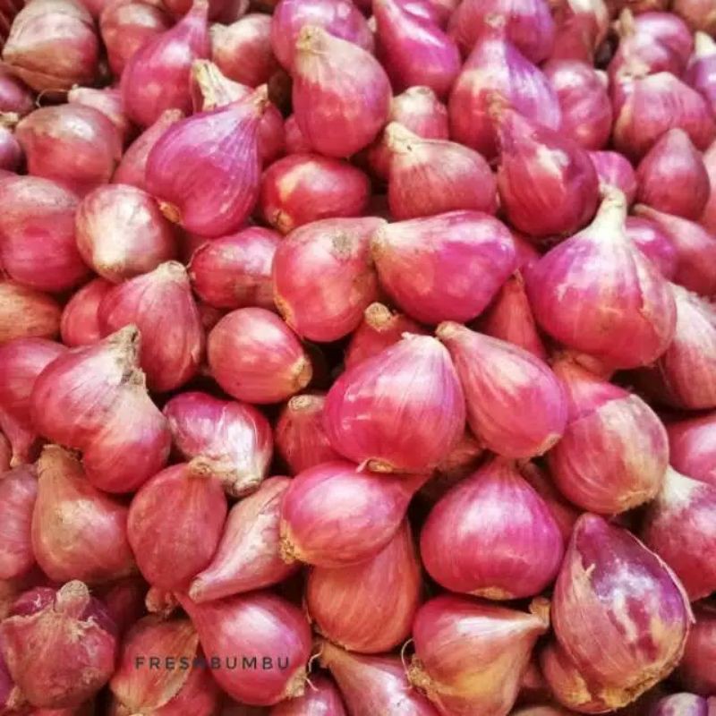 

BAWANG MERAH SUPER DAN BERSIH