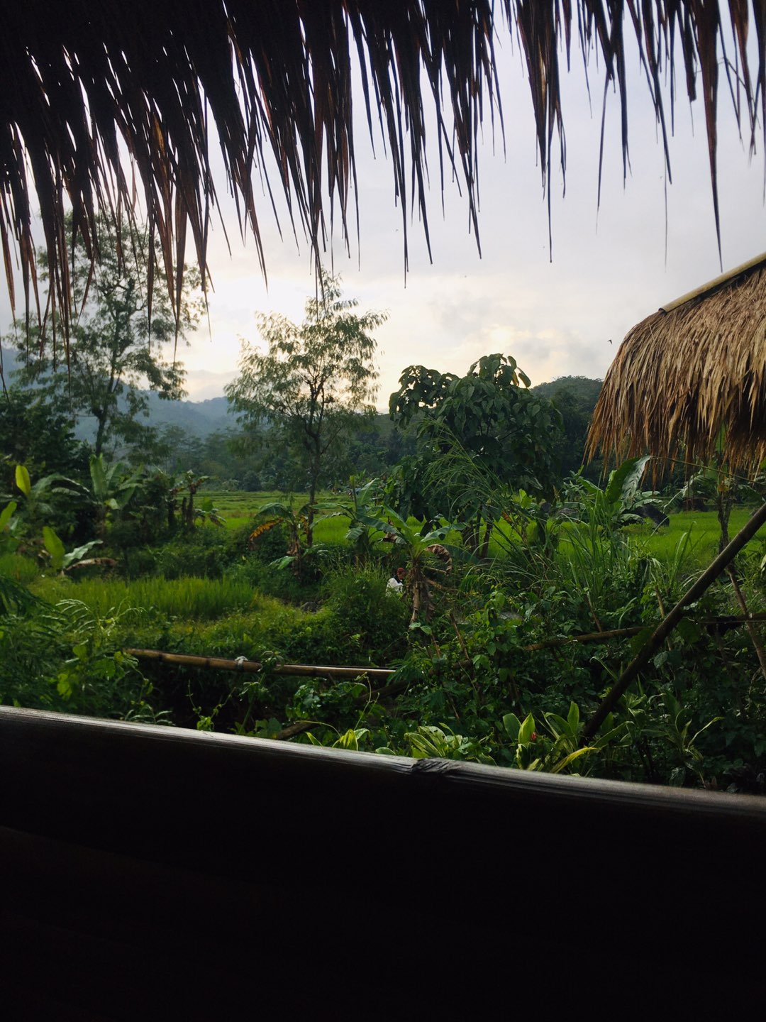 Atasan Batik Wanita Ppbtk07 Modern Batik Murah Cassual Atasanbatik Wanitabatik /atasanwanita...