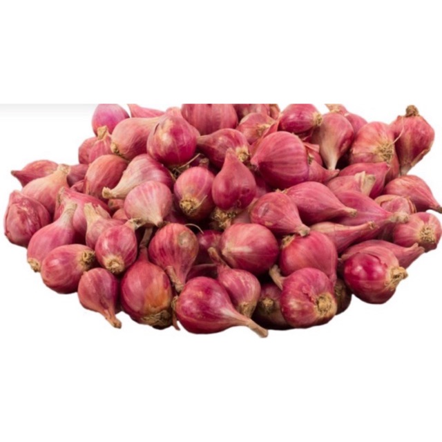 

Bawang Merah TERMURAH