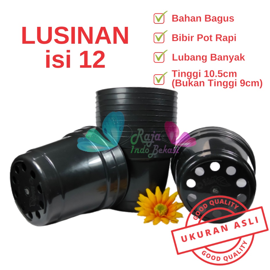 Rajaindobekasi Lusinan Pot 12 Cm Hitam Polos - Pot 12 Hitam Kecil Mini Minimalis Plastik Kaktus Sukulen Mini Murah Pot Bibit Pembibitan - Pot 12 Cm Grosir Lusinan