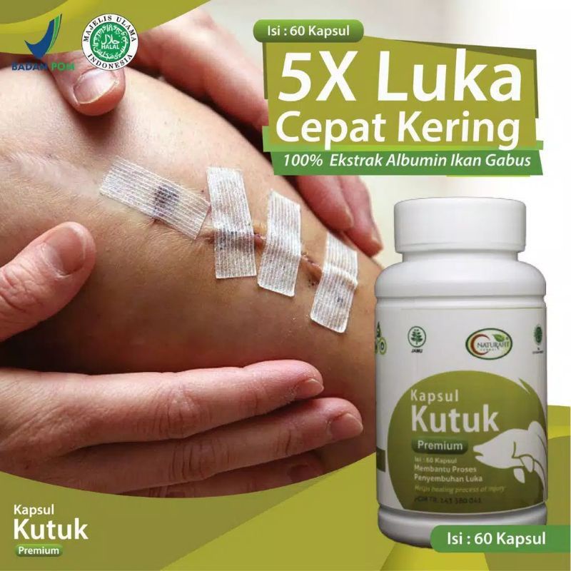 KAPSUL KUTUK  Kapsul Kutuk Premium Ekstrak Albumin Pasca Operasi 5x Original asli 100%
