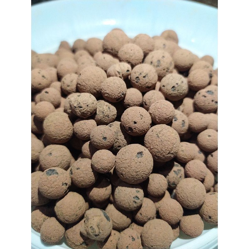 Hidrotone import 50gr Media tanam