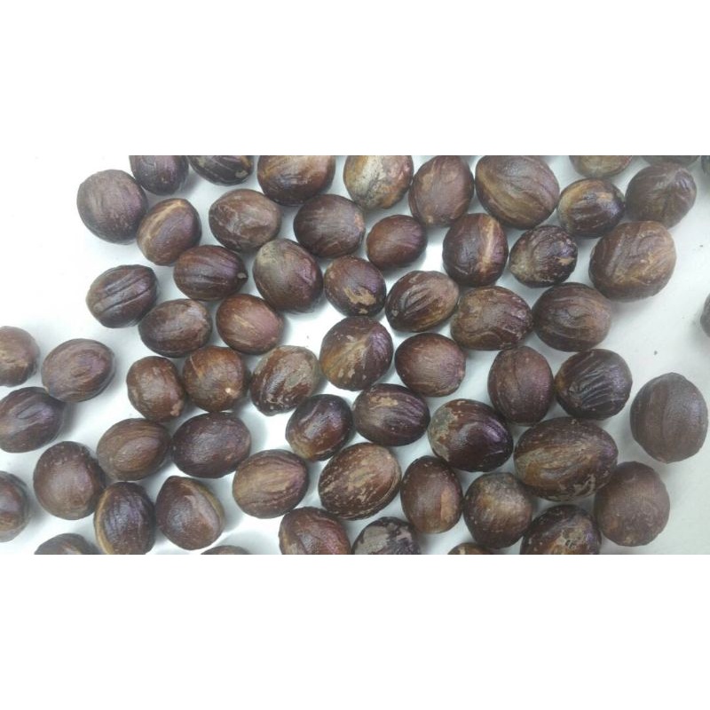 

Pala bulat dapat 1 kg. Kualitas Ekspor