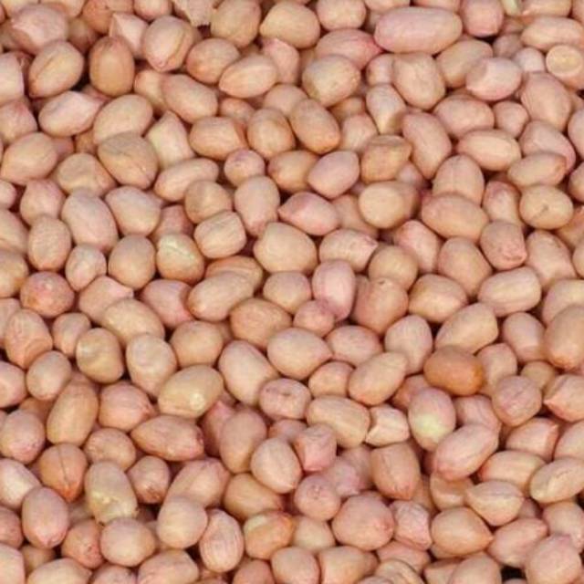 

Kacang tanah Asli Tuban 1kg (Bonus Royco)