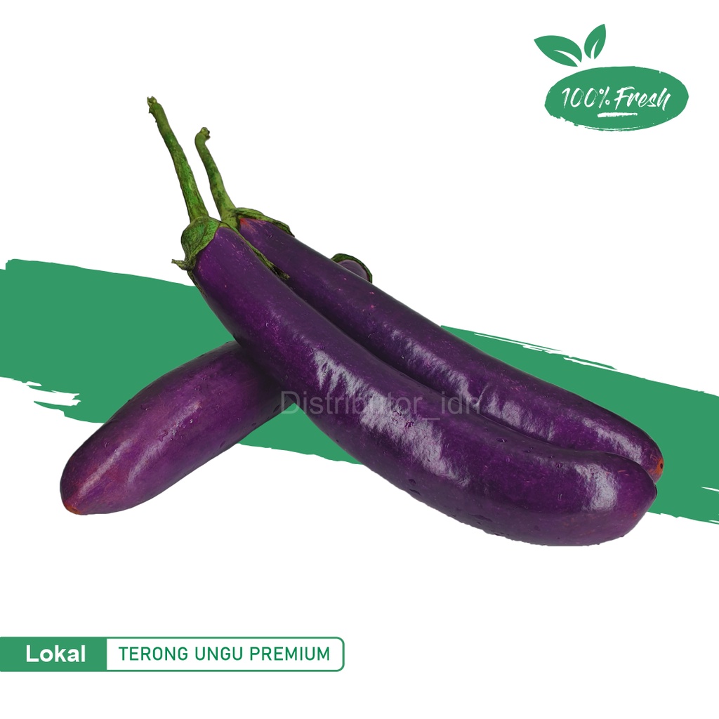 

Terong ungu premium