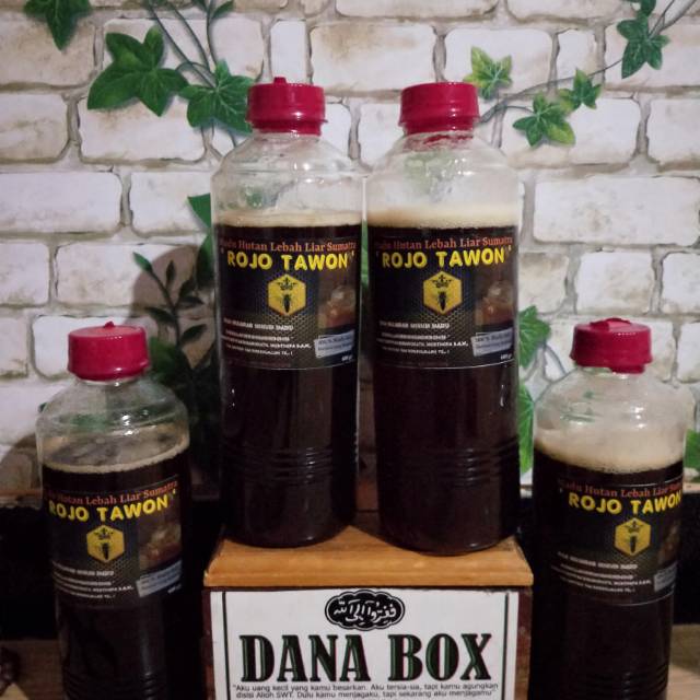 

MADU HUTAN LIAR SUMATRA ROJO TAWON